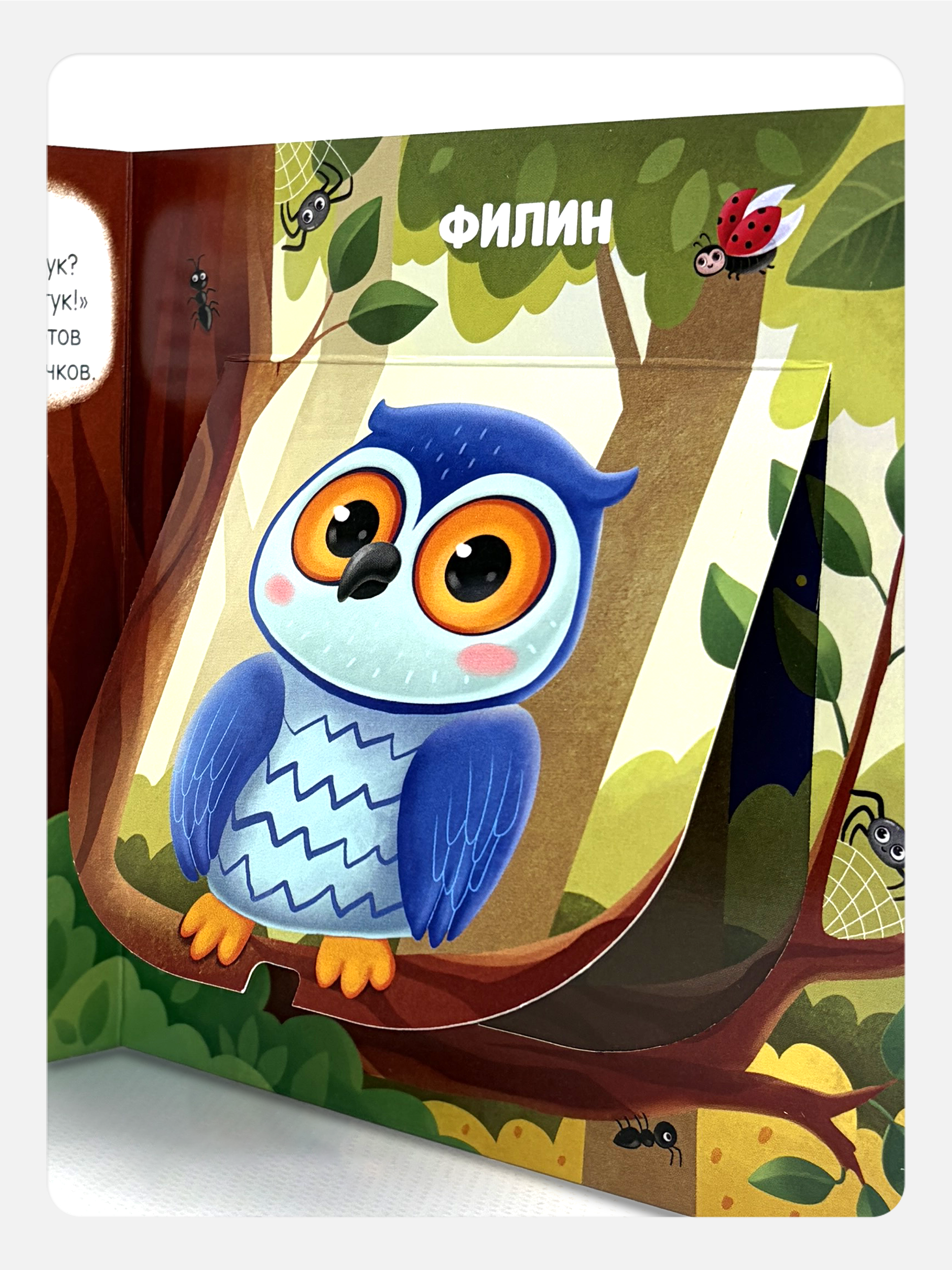 Книга Malamalama с окошками лабиринтами и 3D картинками. Наша природа - фото 8