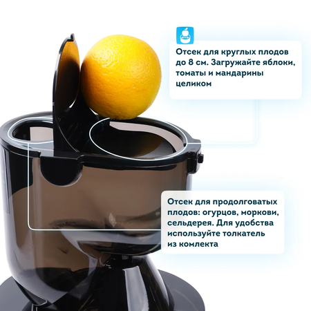 Соковыжималка шнековая RAWMID Vitamin RVJ-02 электрическая для фруктов овощей орехового молока