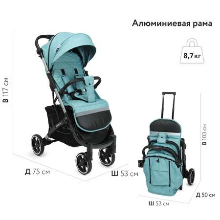 Коляска прогулочная Babyton Rapid Blue