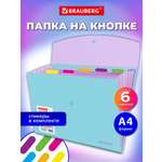 Папка-органайзер Brauberg голубая с лиловым А4