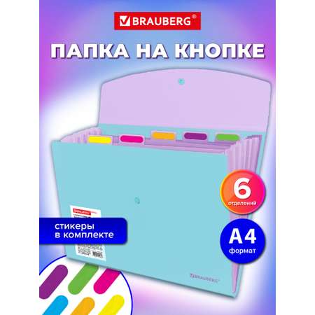 Папка-органайзер Brauberg голубая с лиловым А4