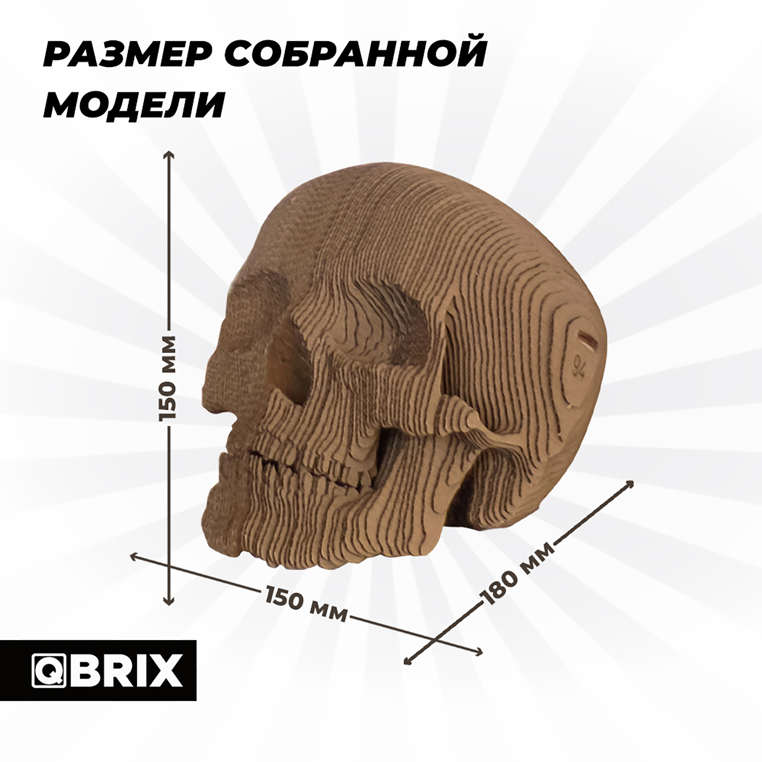 Конструктор QBRIX 3D картонный Череп 20001 20001 - фото 7