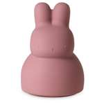 Силиконовая копилка LUKNO Кролик