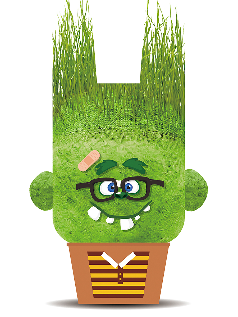 Набор для выращивания Hape - фото 3