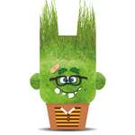 Изображение товара Набор для выращивания Hape растущая травка