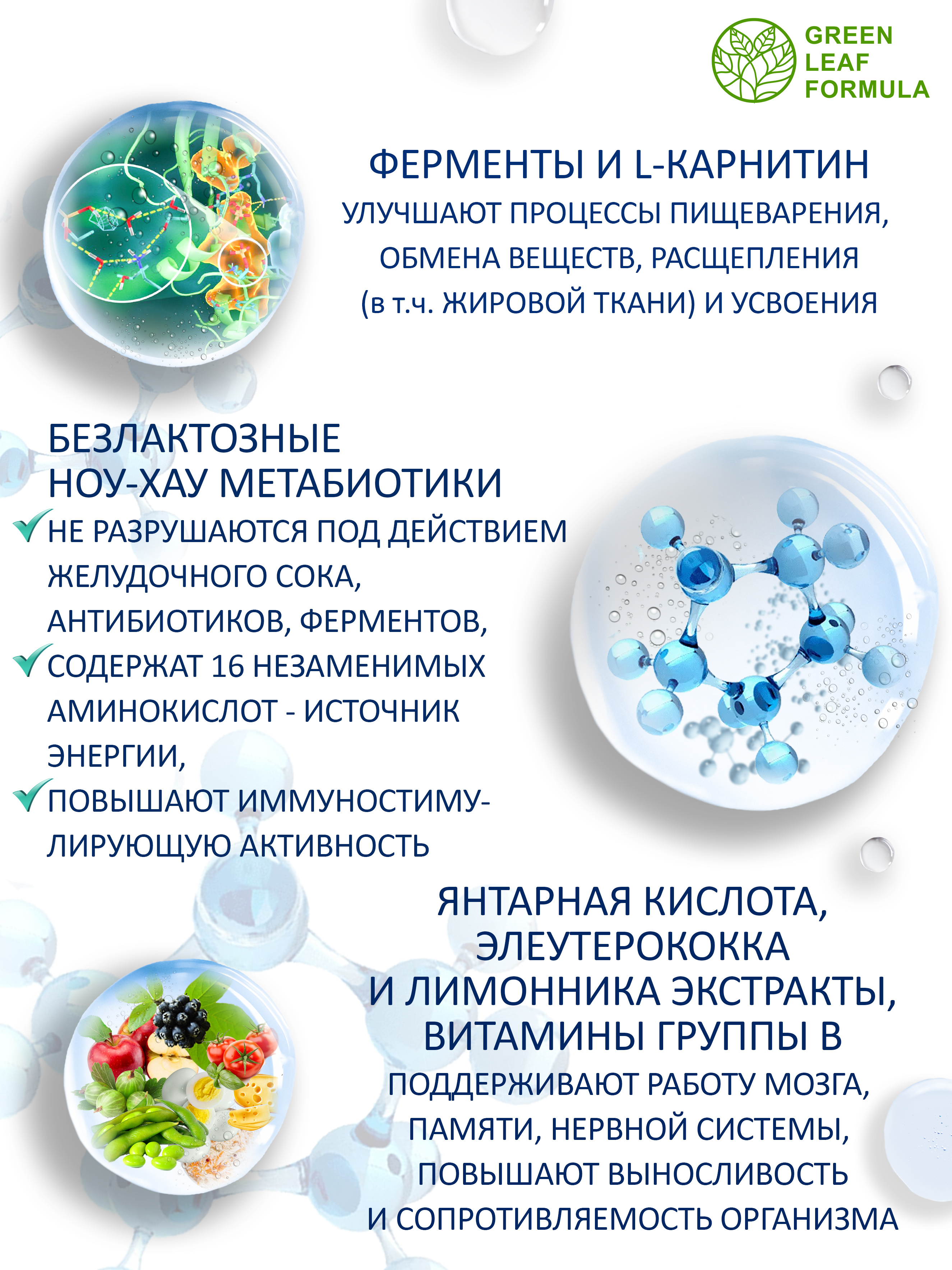 Метабиотик для кишечника Green Leaf Formula ферменты для пищеварения L-карнитин для сжигания жира для иммунитета - фото 4