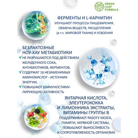 Метабиотик для кишечника Green Leaf Formula ферменты для пищеварения L-карнитин для сжигания жира для иммунитета