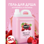 Гель Sanfito Клубника и малина 5000 мл 1 шт.