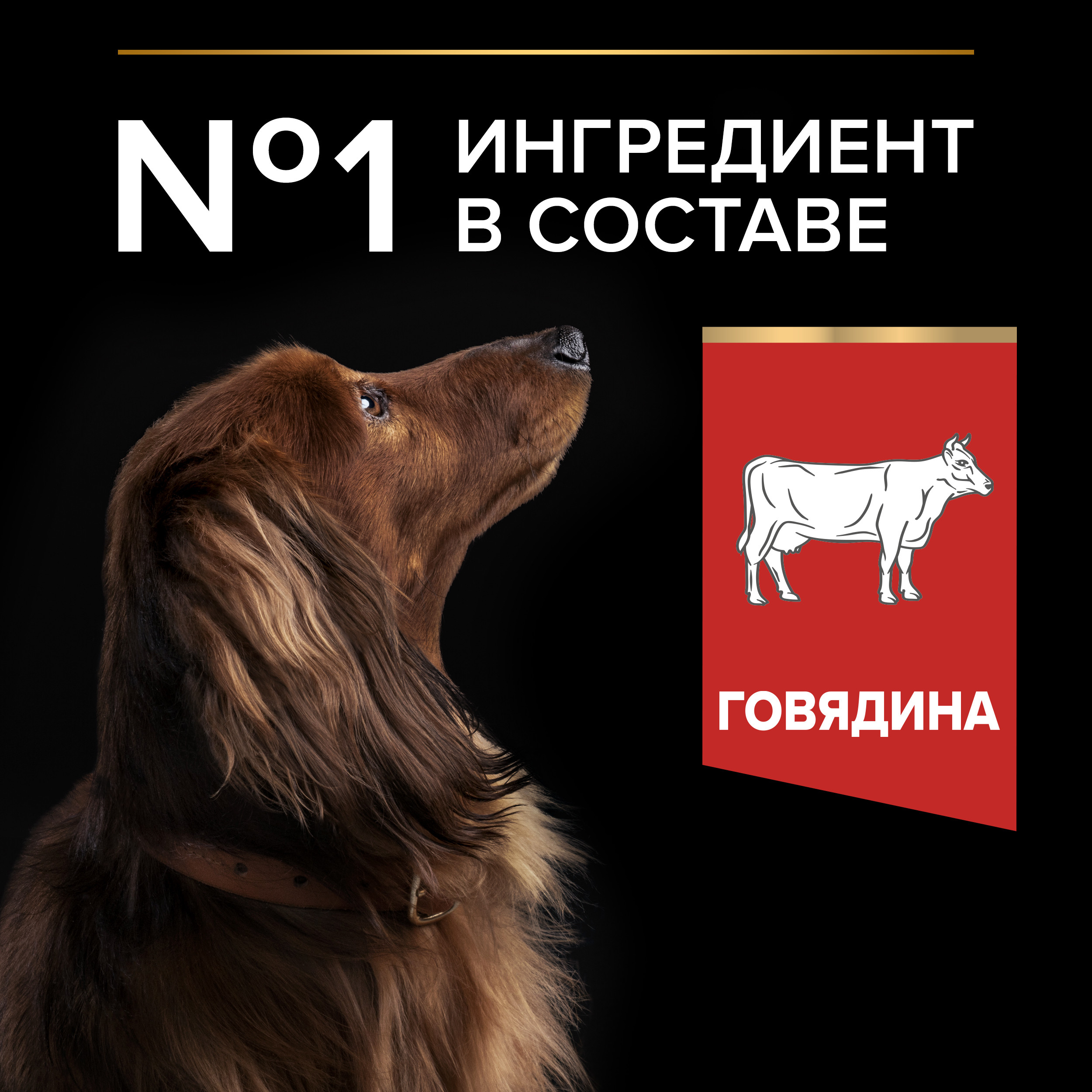 Корм сухой для собак PRO PLAN DUO DELICE 700г с говядиной для мелких и карликовых пород - фото 10