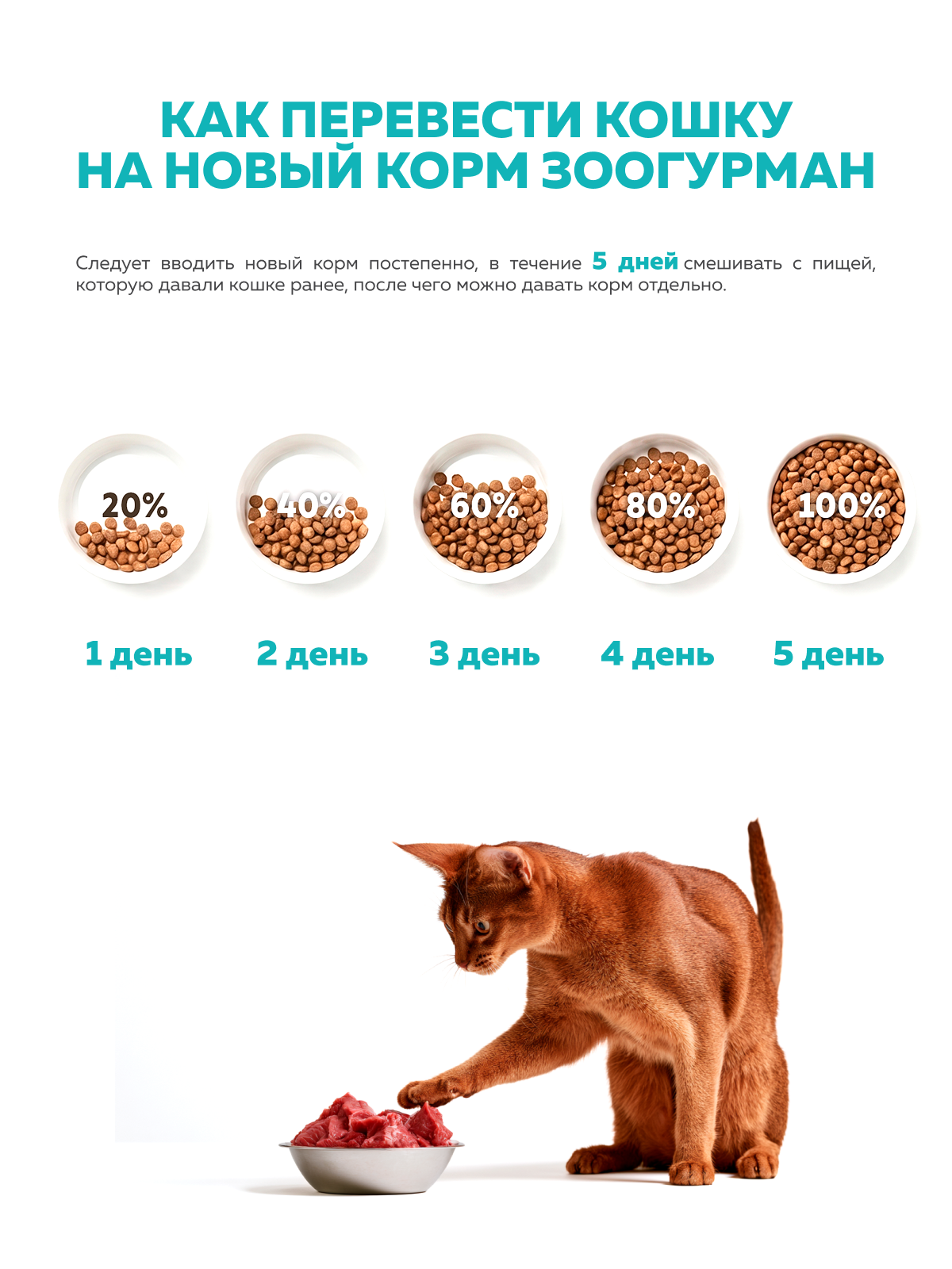 Сухой корм для взрослых кошек Зоогурман Holistic кролик с брокколи и цукини 1.5кг - фото 7