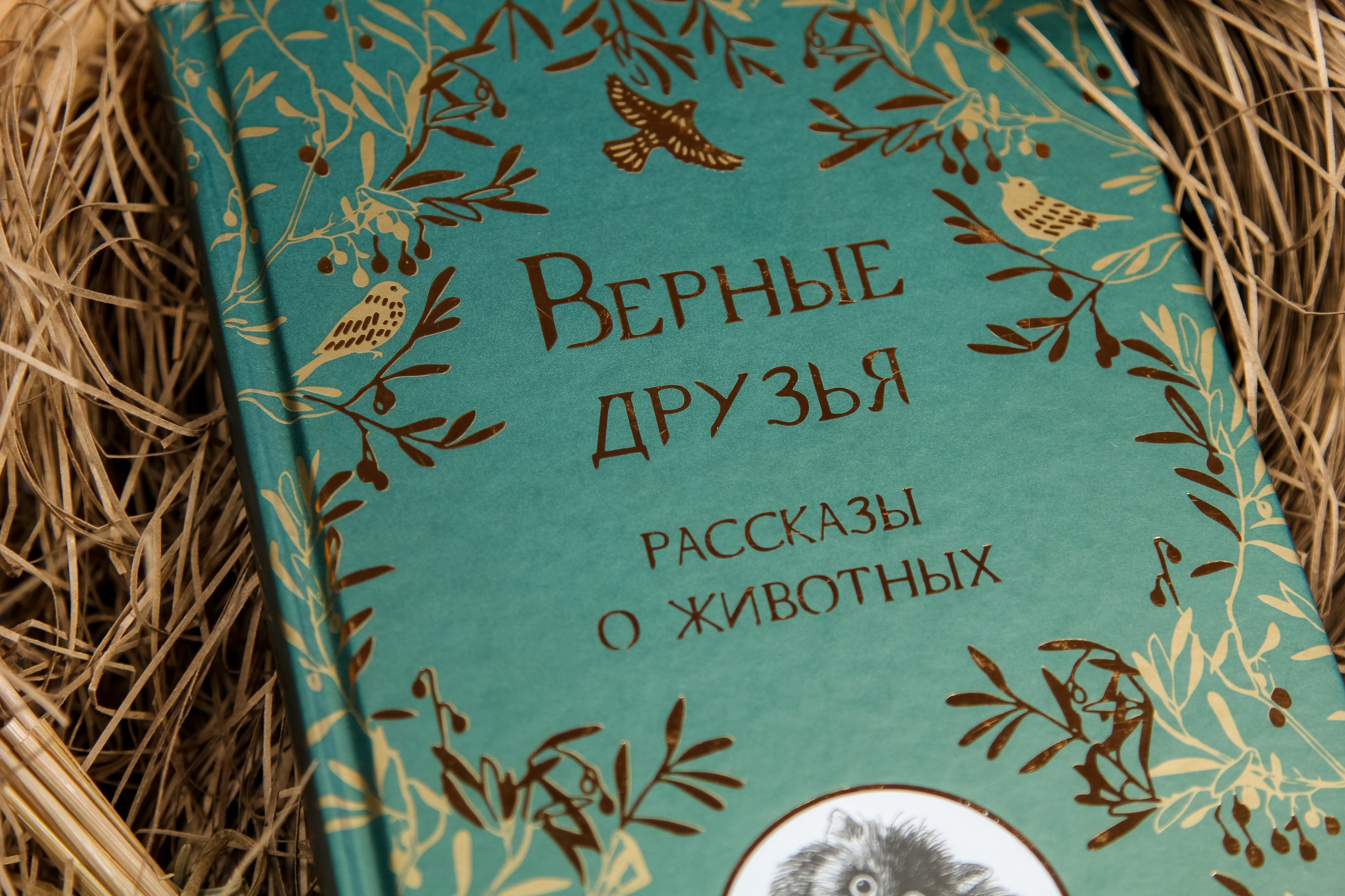 Книга Качели Верные друзья Рассказы о животных - фото 6
