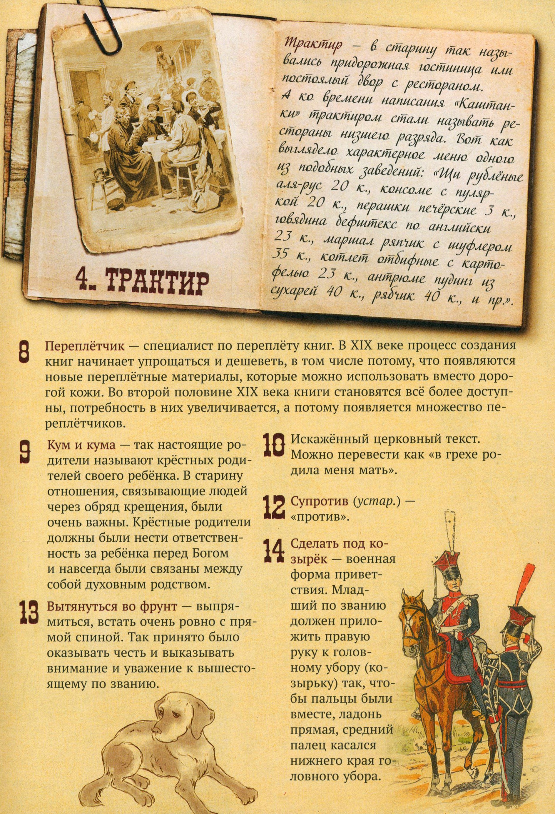Книга Стрекозa Каштанка - фото 8