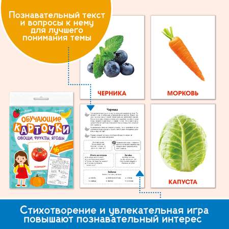 Карточки Проф-Пресс обучающие 3 комплекта по 16 шт 17х22 см цвета+мамы и малыши+овощи фрукты ягоды