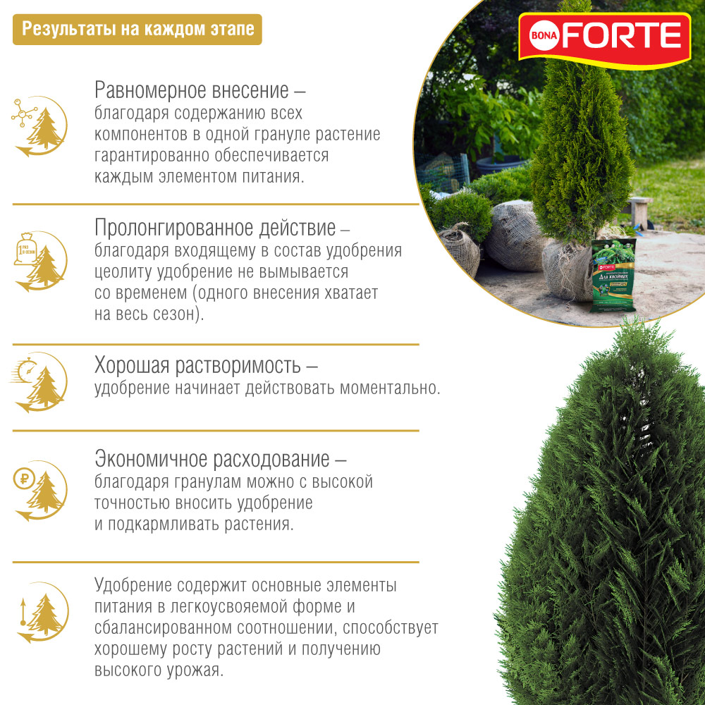 Удобрение Bona Forte Хвойное весна-лето 5 кг - фото 2