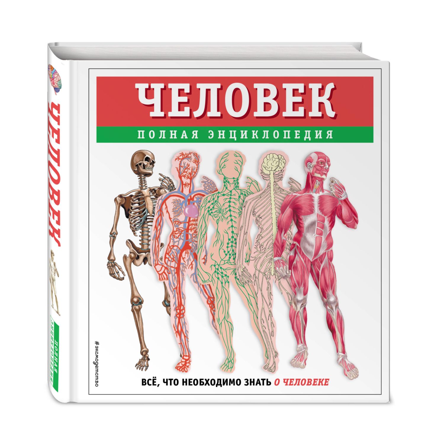 Книга Эксмо Человек полная энциклопедия - фото 1