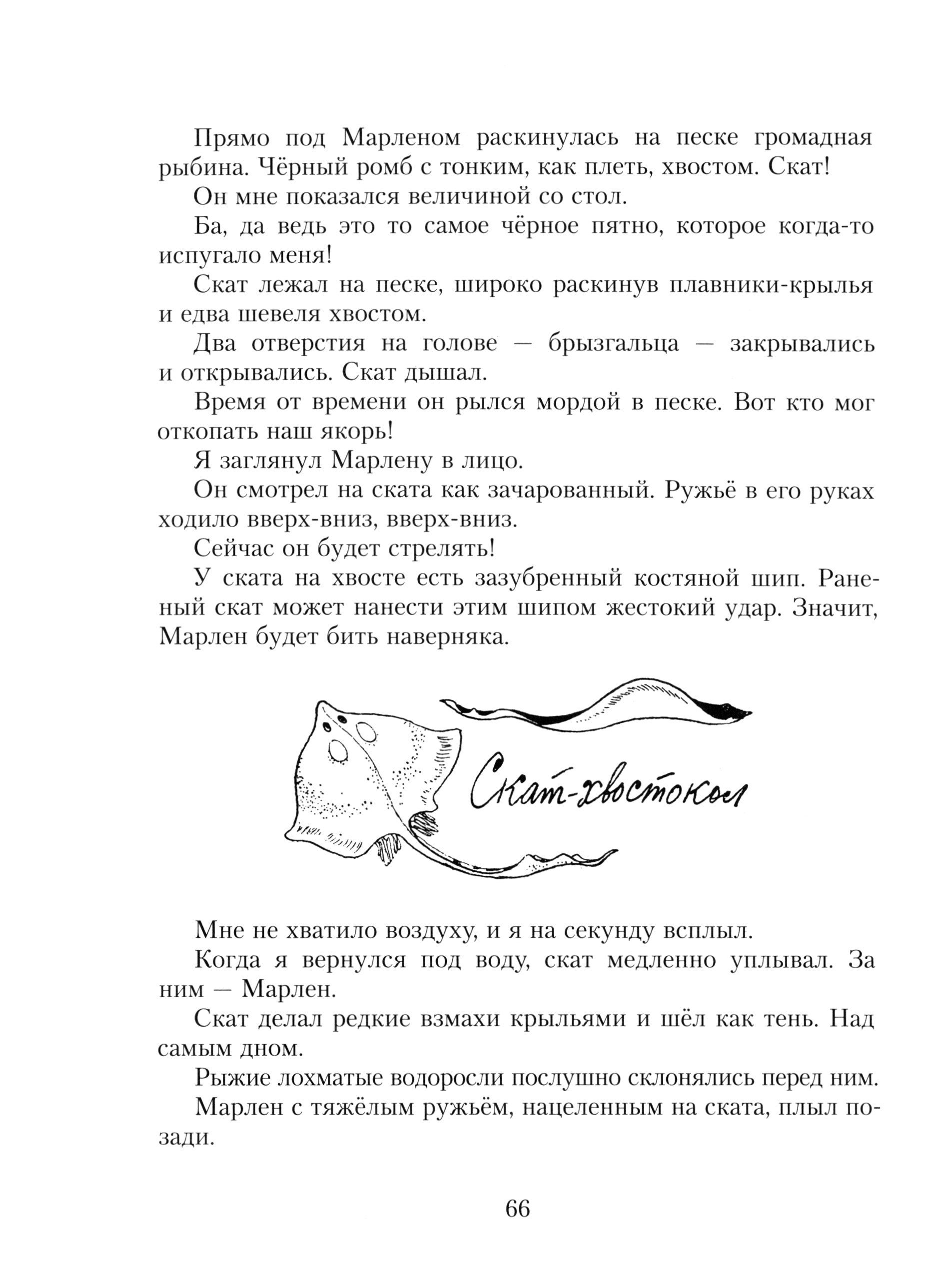 Книга Стрекозa Подводные приключения - фото 3