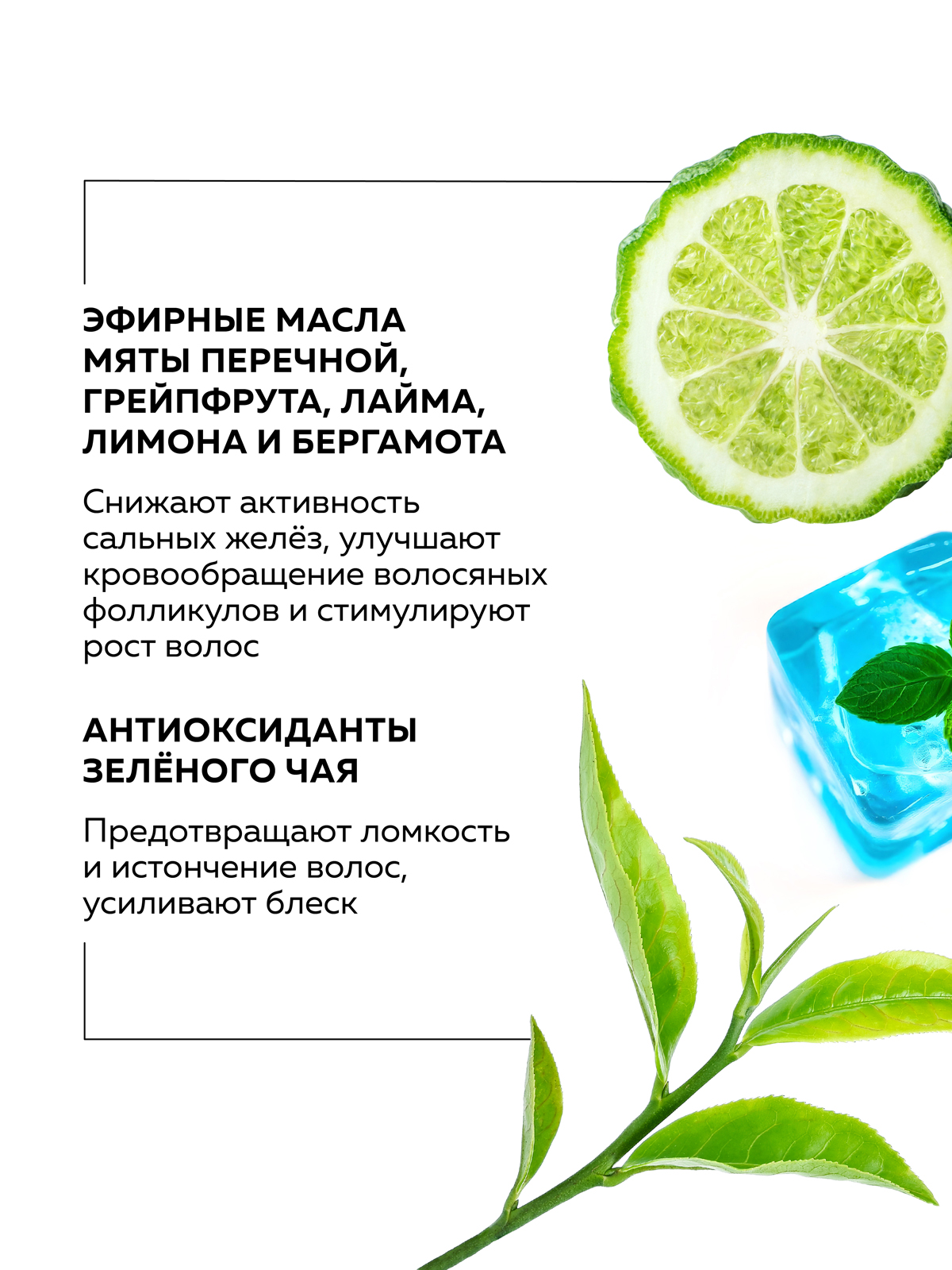 Шампунь GREENNOVA для жирных волос 1000 мл - фото 3