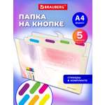 Папка-органайзер Brauberg А4