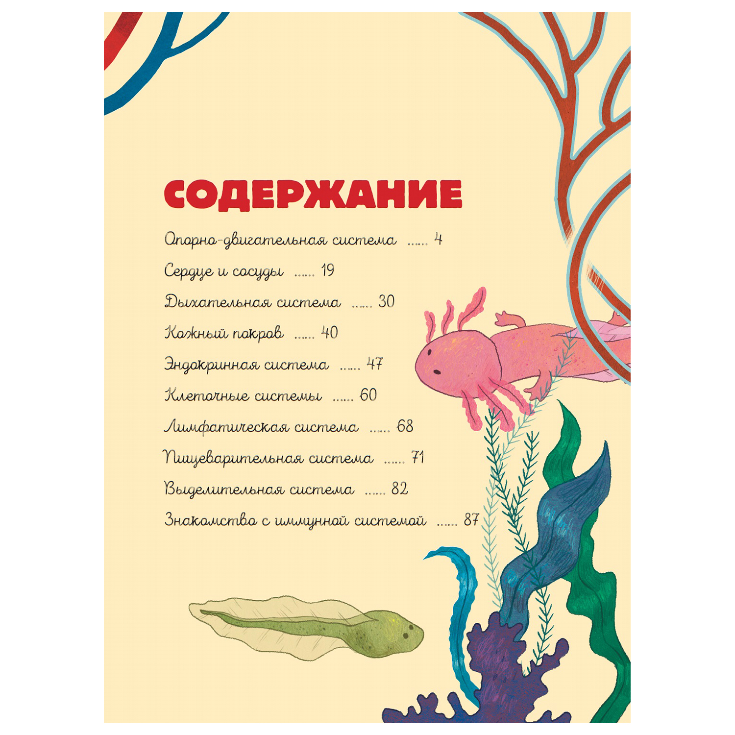 Энциклопедия АСТ Большая наука детям Тело человека - фото 10