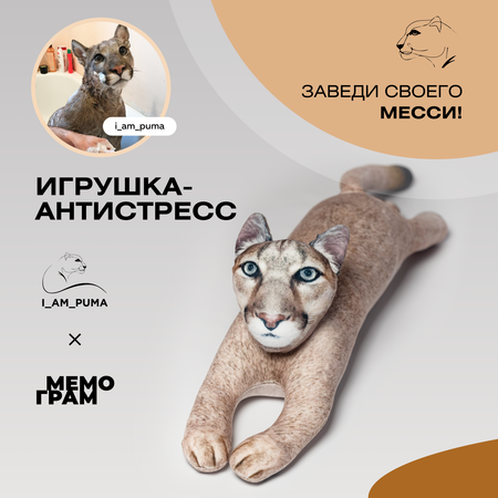 Сквиш Мемограм