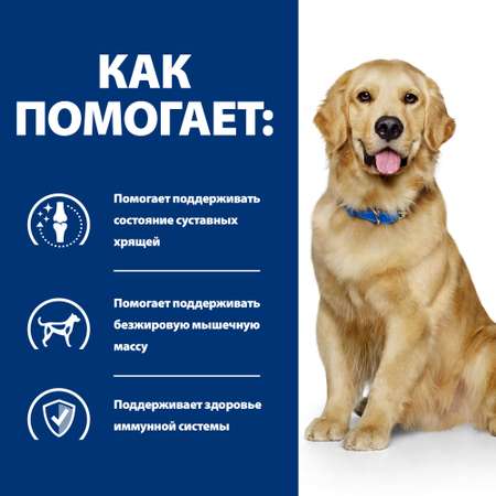 Корм для собак HILLS 12кг Prescription Diet j/d Joint Care для здоровья суставов с курицей сухой