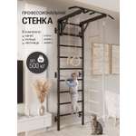 Шведская стенка BORABO PRO с турником и навесным оборудованием