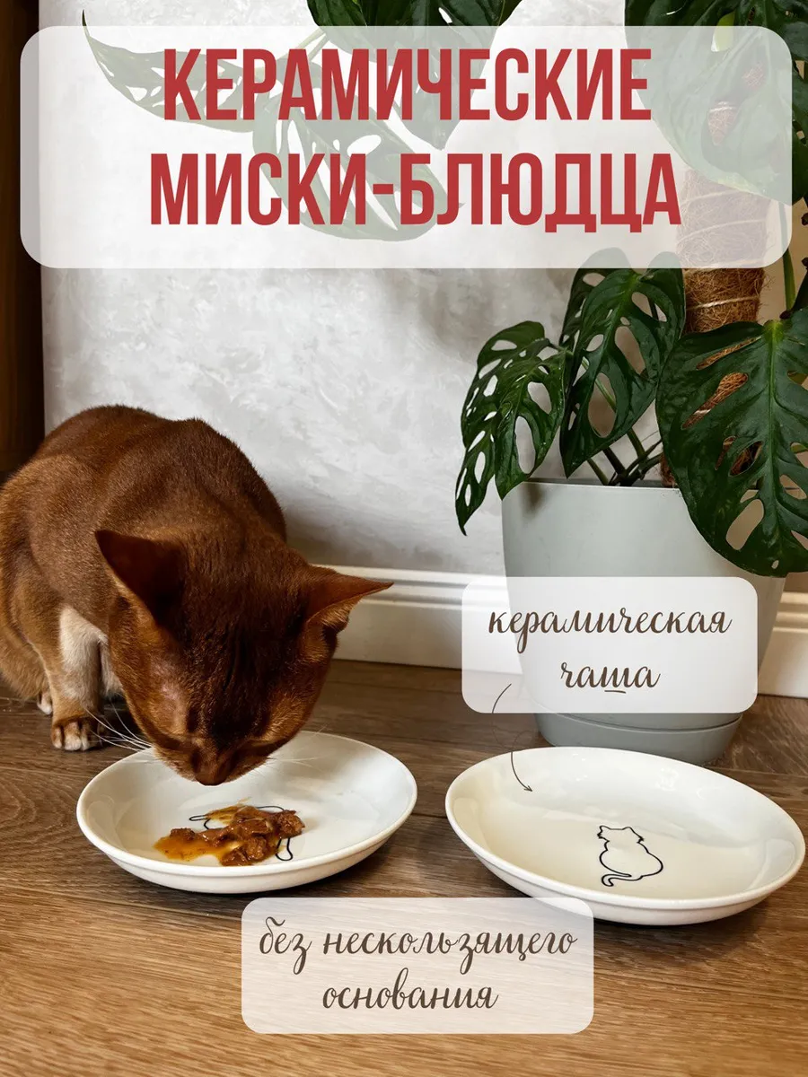 Миска керамическая Qalla блюдца 2шт. - фото 1
