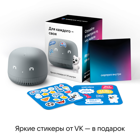 Умная колонка Капсула Нео VK цвет серый