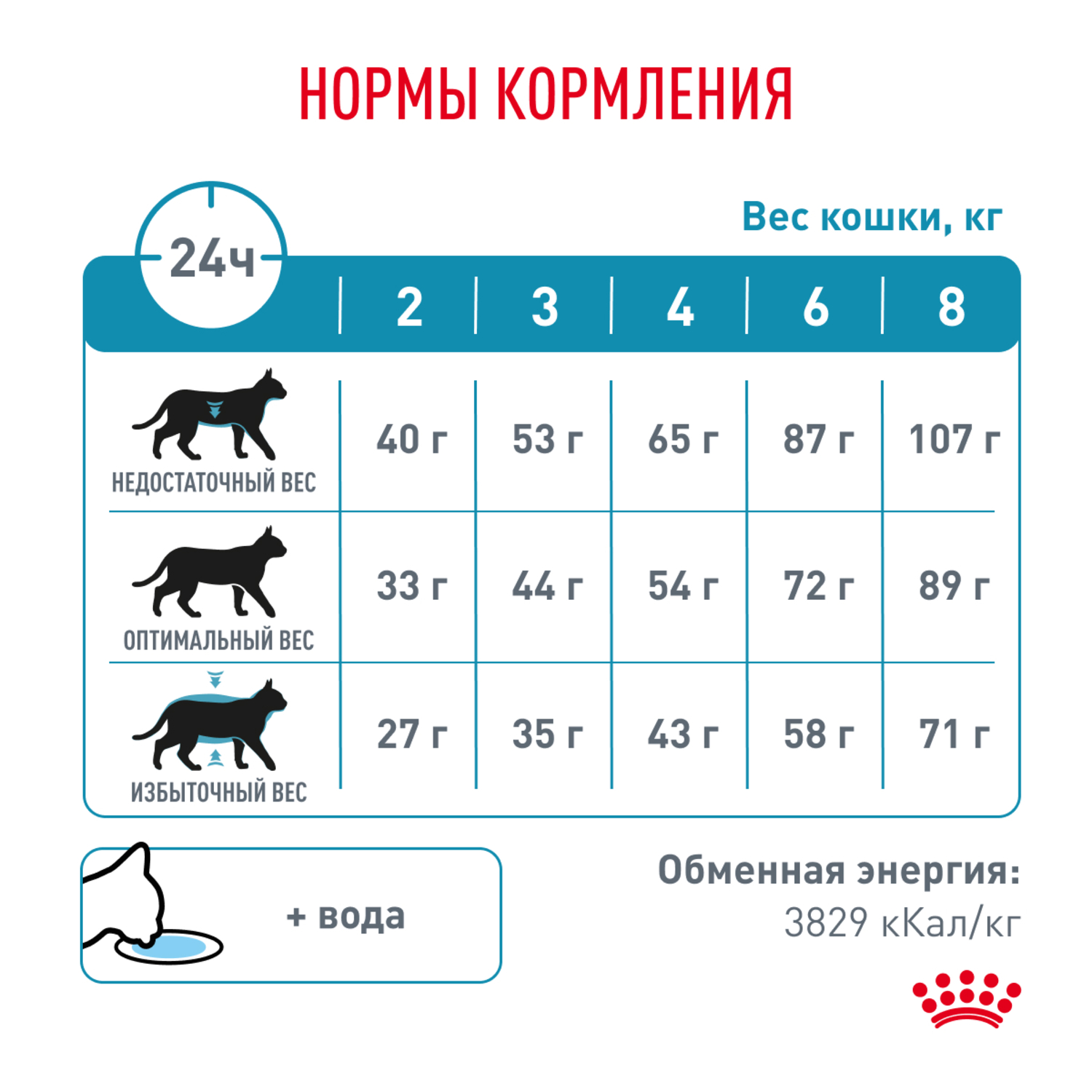 Корм для кошек ROYAL CANIN Skin Coat для поддержания защитных функций кожи 350г - фото 7