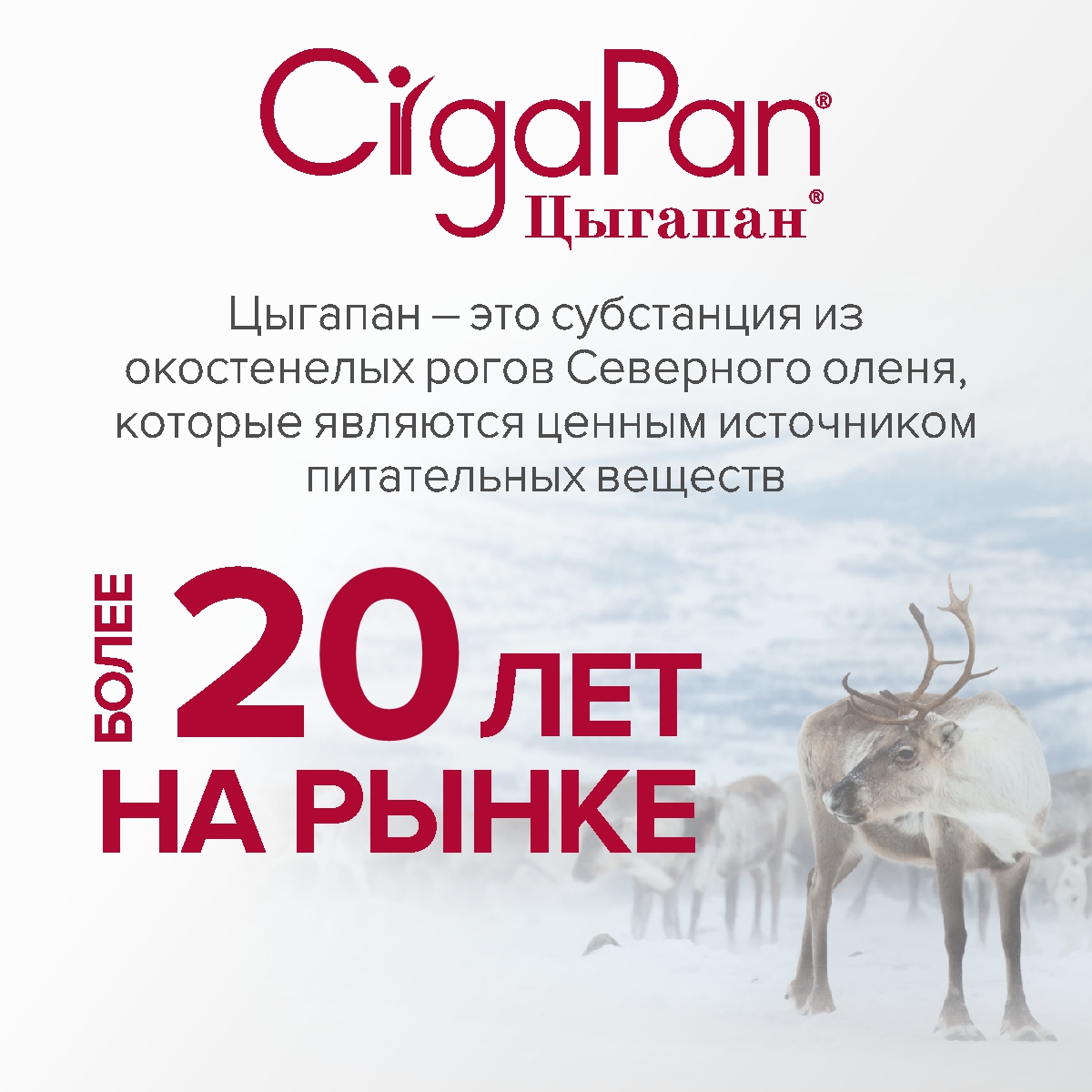 Витамины для детей CigaPan Цыгапан 30 таблеток 200 мг - фото 7