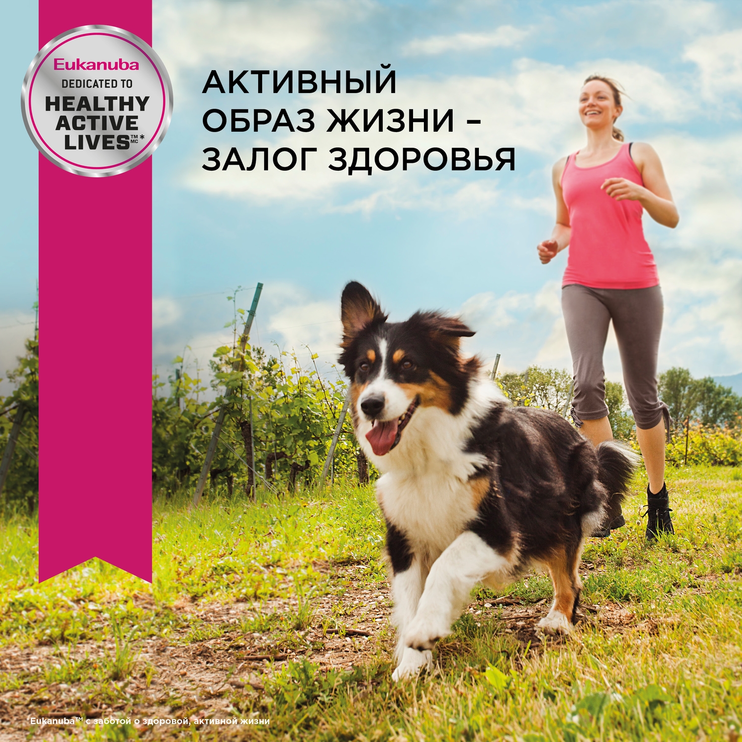 Корм Eukanuba Dog 1.5кг для взрослых собак миниатюрных пород сухой - фото 10