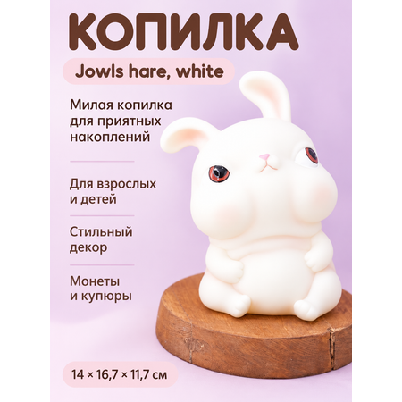 Копилка для денег iLikeGift для монет и купюр