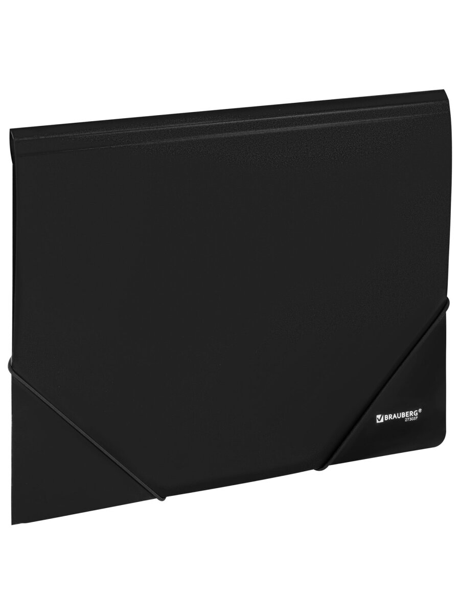 Папка для тетрадей Brauberg на резинках А4 - фото 2