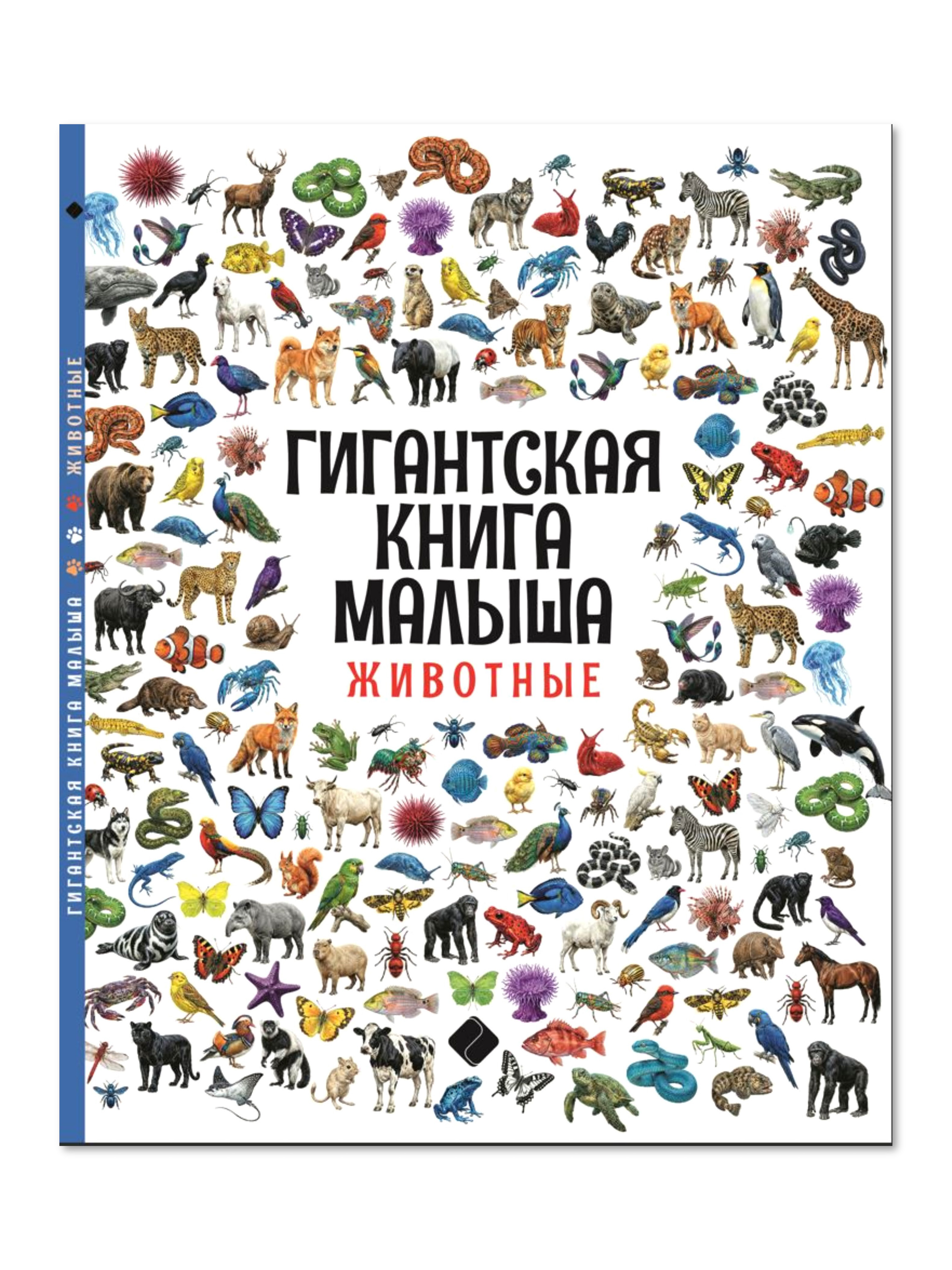 Первая книга Малыша Premiere Publishing энциклопедия гигантская - фото 1
