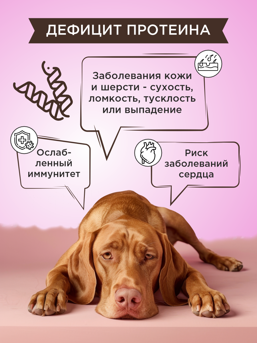 Полезное лакомство для собак GOODR DOG Здоровье и энергия 90 таблеток - фото 3