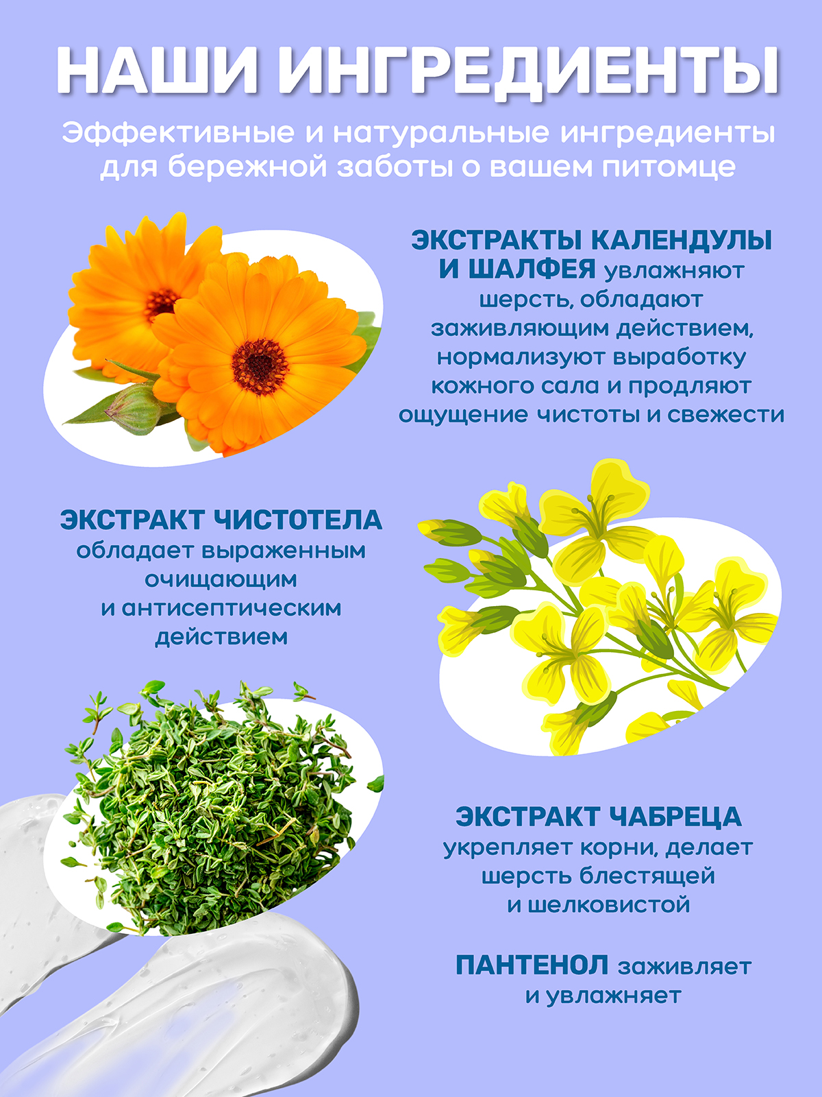 Шампунь для собак и кошек ZOORIK глубокой очистки 5000 мл - фото 5