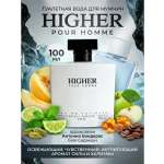 Туалетная вода Понти Парфюм для мужчин Higher 100 мл