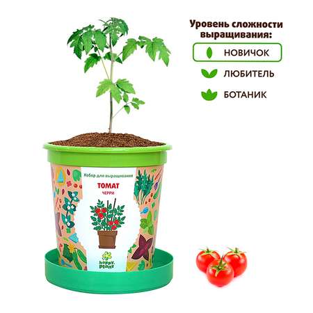 Набор для выращивания Happy Plant