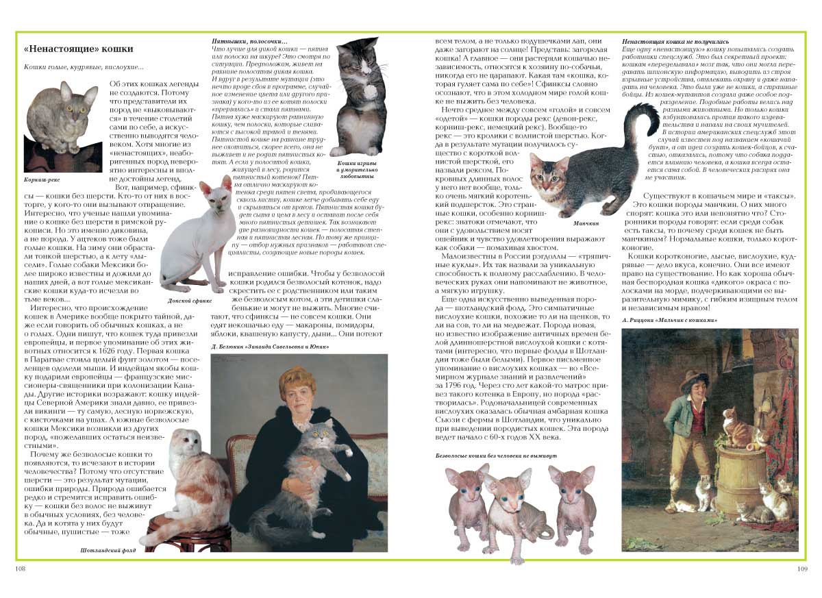 Книга Белый город Загадки животного мира - фото 6