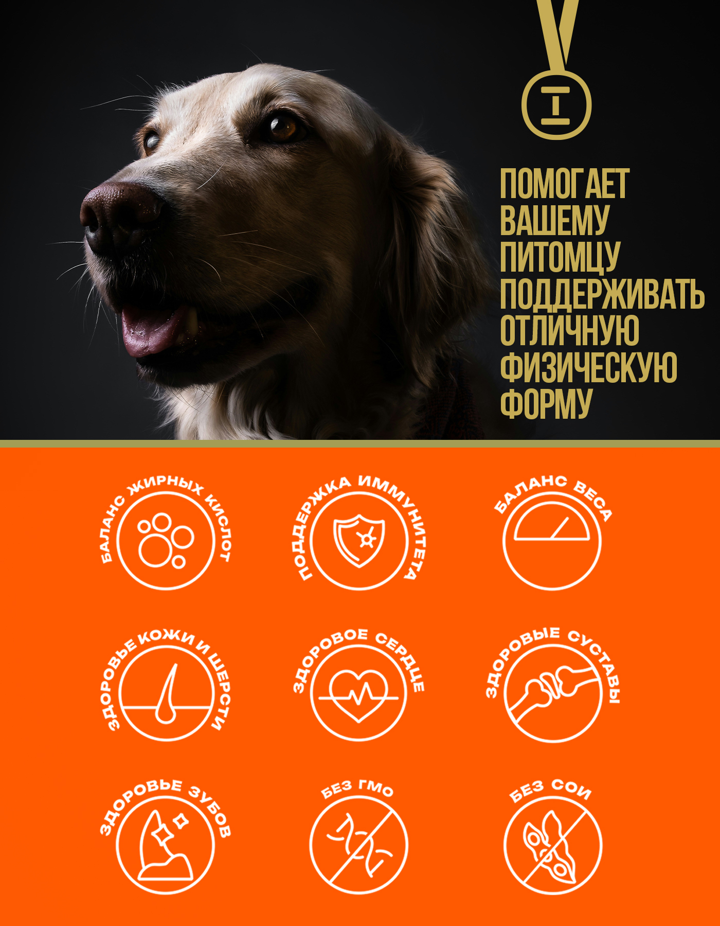 Корм сухой Profifeed для собак мелких и средних пород 17кг - фото 3