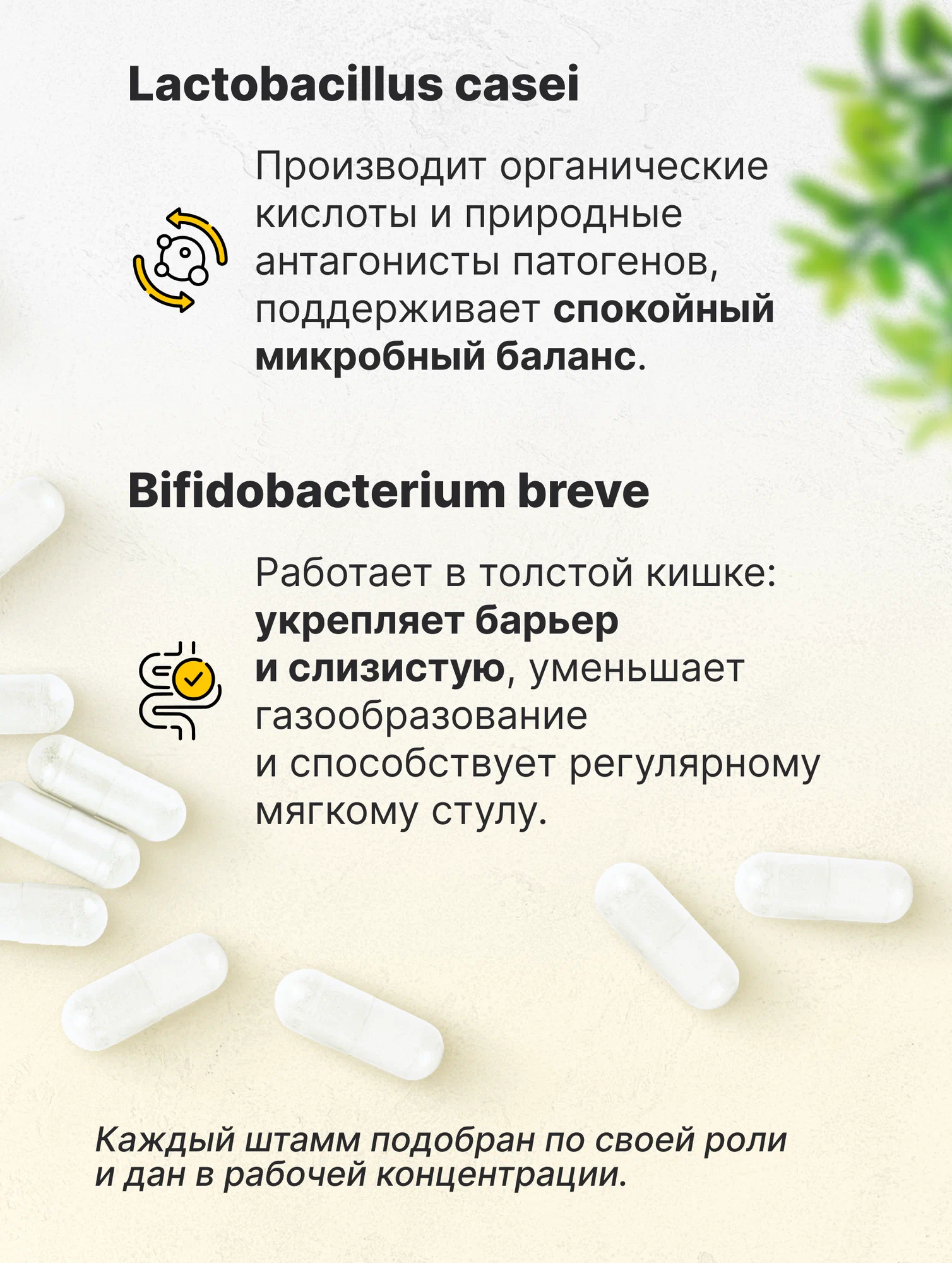 Биологически активная добавка VitaMeal Пробиотики и Пребиотики комплекс с Инулином для ЖКТ 60 капсул - фото 9