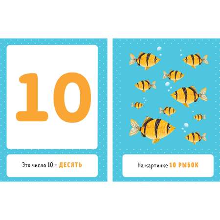 Книга Clever Познаем мир вместе Я учу цифры