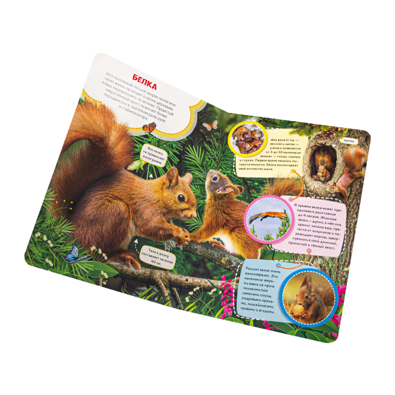 Набор книг Malamalama Ферма и в лесу книги для детей от двух лет - фото 5