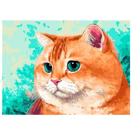 Картина по номерам Цветной