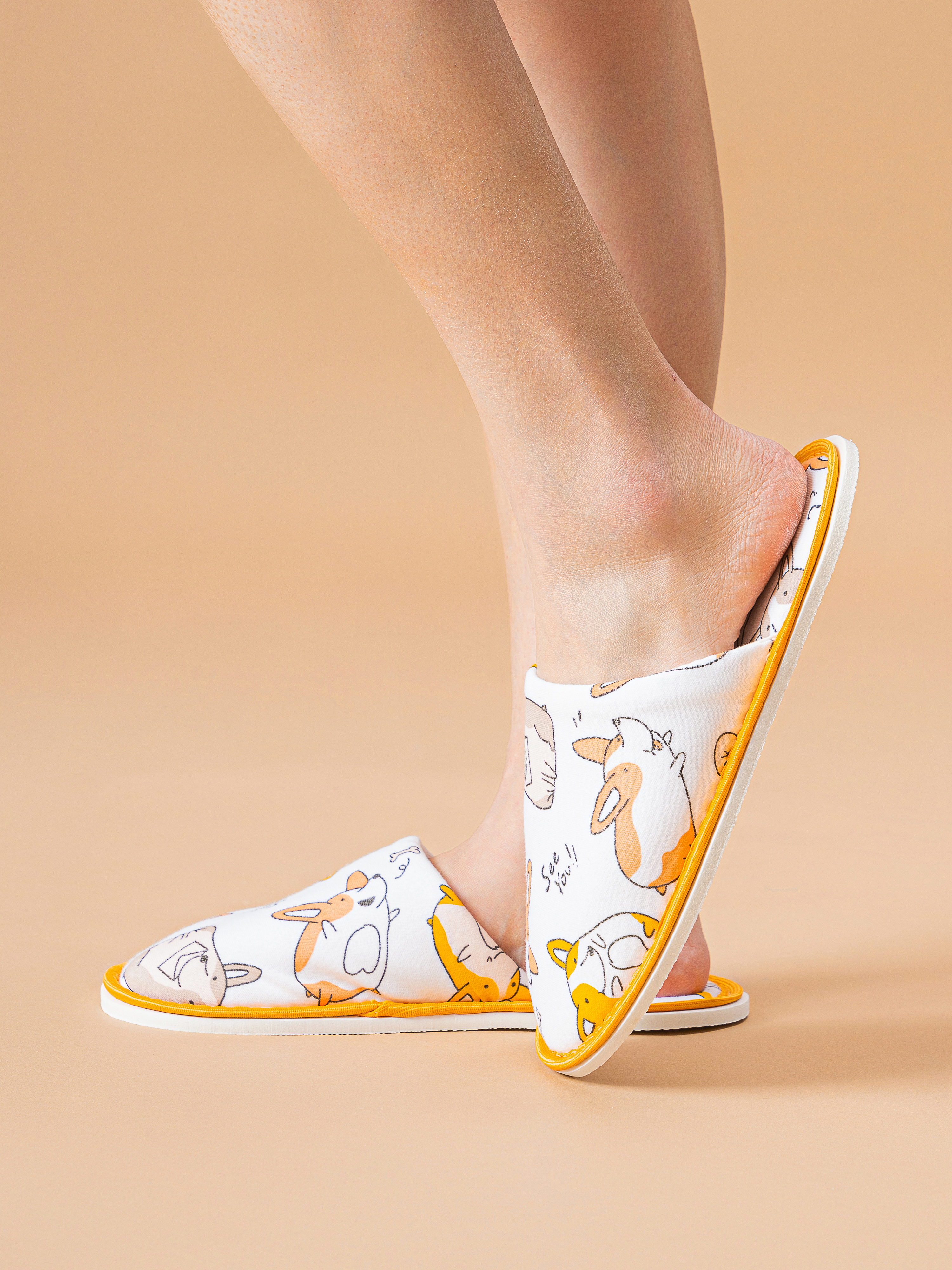Тапочки IVShoes С-6ДМ(д)-МР/корги - фото 9