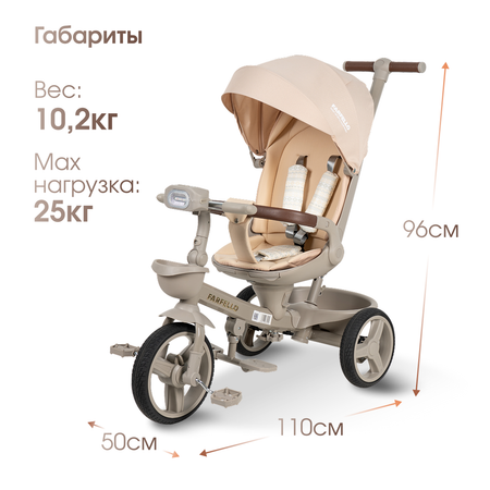 Трехколесный велосипед Farfello 10 дюймов