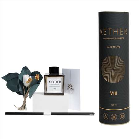 Диффузор с сухоцветами в Премиум тубусе Accents Oud Bergamot