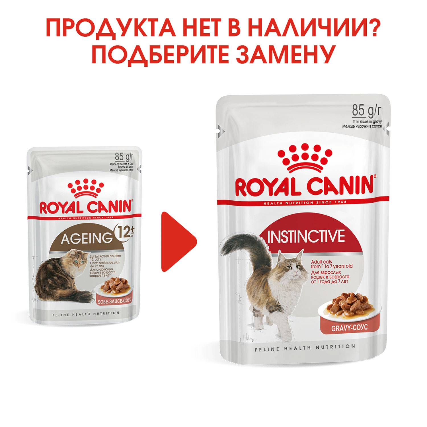 Корм влажный для пожилых кошек ROYAL CANIN Ageing 85г соус пауч - фото 6