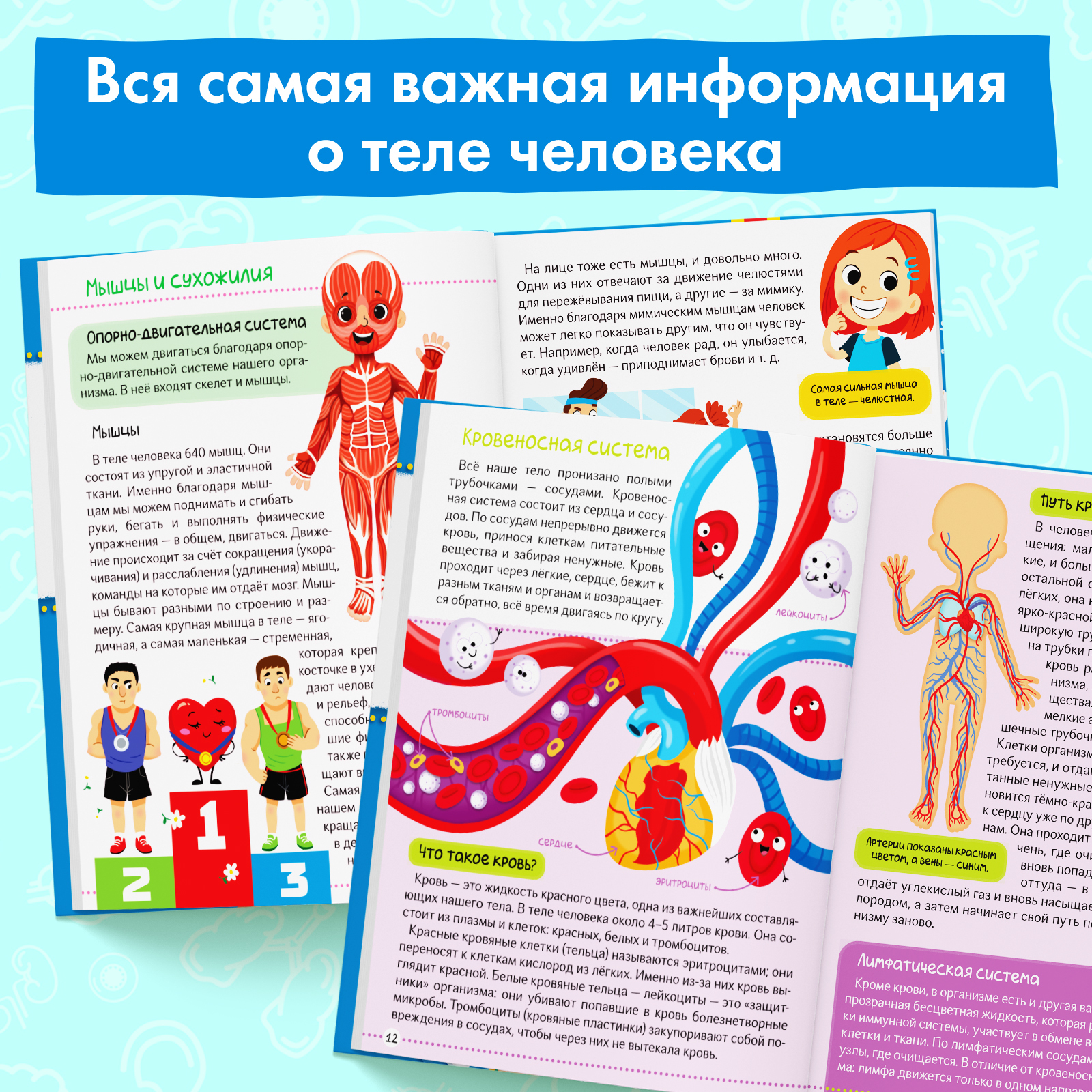 Энциклопедия Буква-ленд в твёрдом переплёте Тело человека 48 стр - фото 5