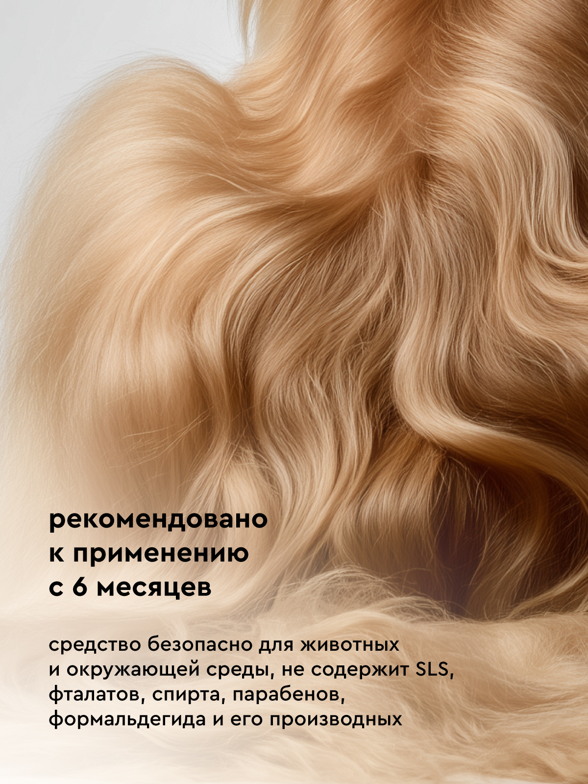 Шампунь очищающий Pamilee универсальный для кошек и собак - фото 7